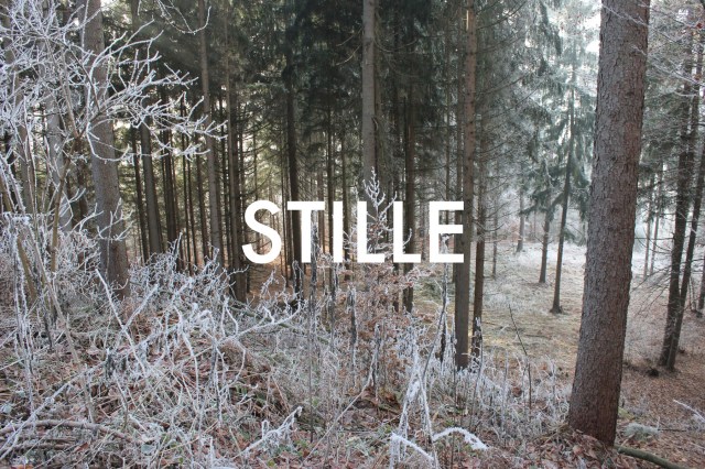 STILLE Nr.20361
