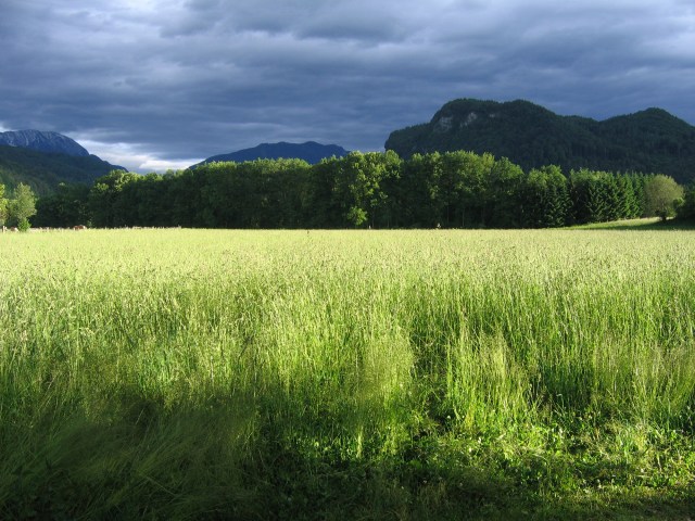 Landschaft Carinthia/Austria