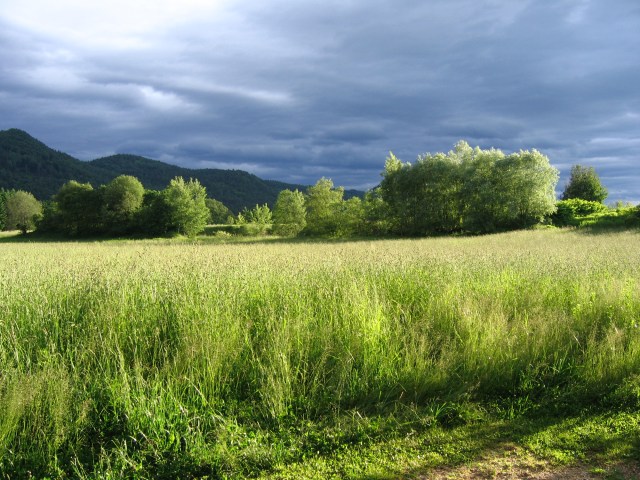 Landscape Carinthia/Austia