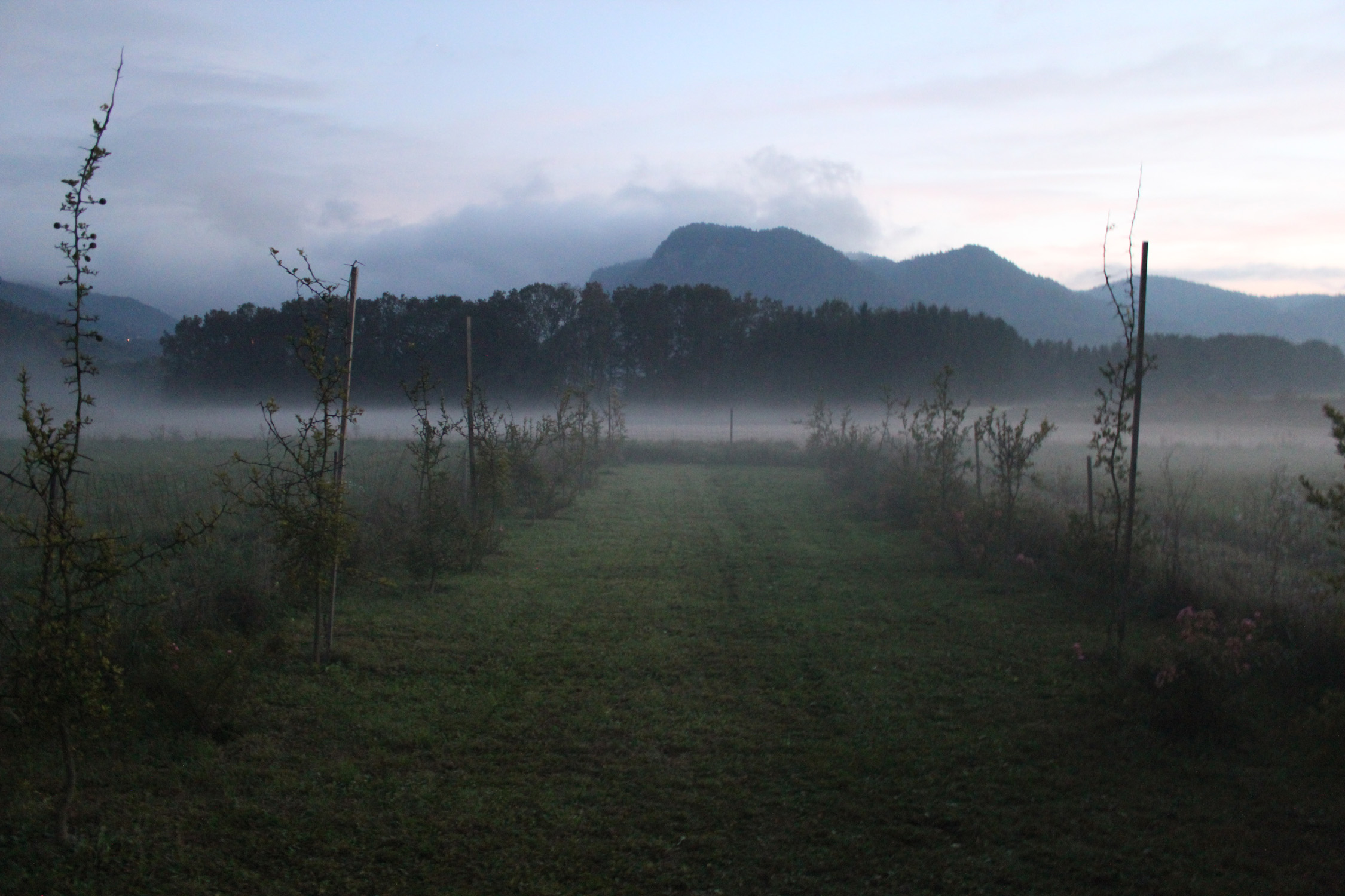 Landschaftsgarten_6701