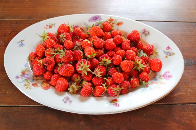 Erdbeeren_7880