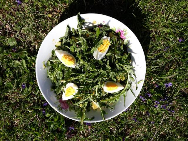 Resized_20180408_151412_2464 (1)