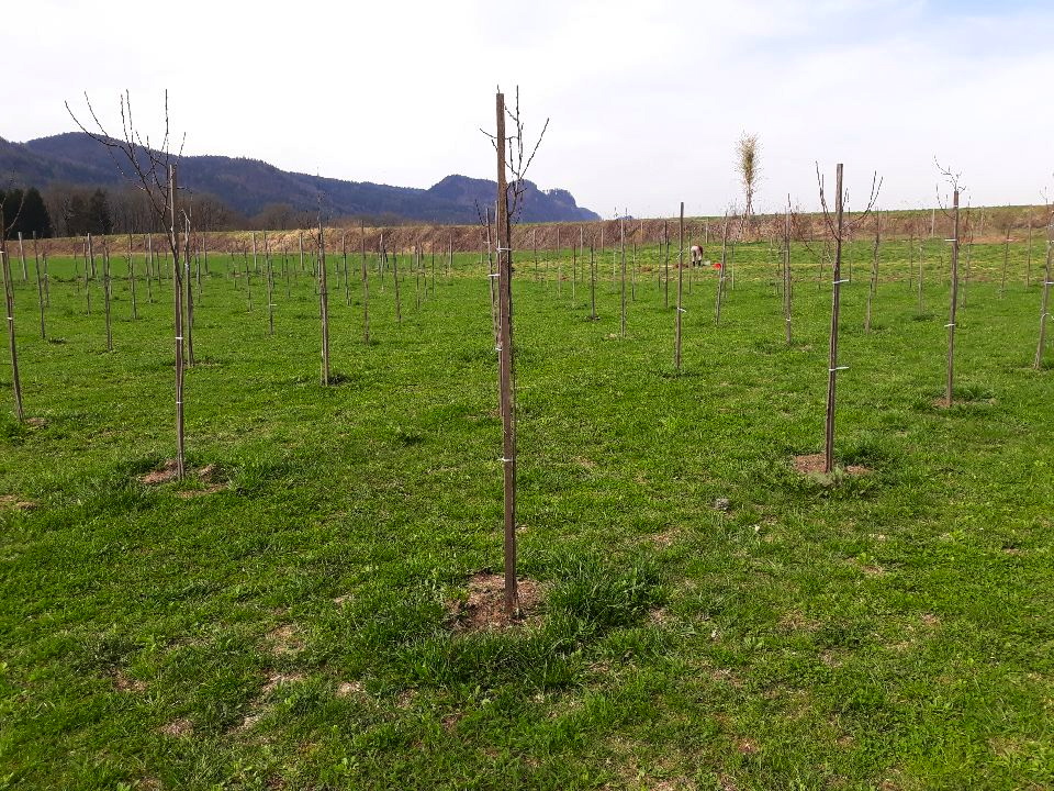 Resized_20180409_103614_7904