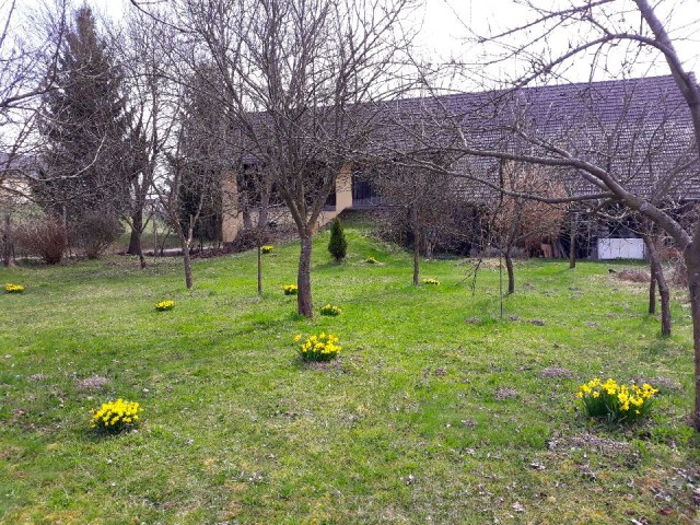 Resized_20180409_104323_2517