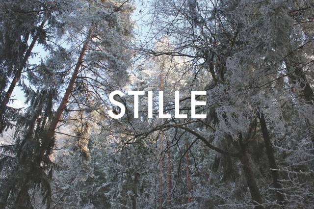 © Wilhelm Roseneder. STILLE Nr.20220, 2012 Kopie